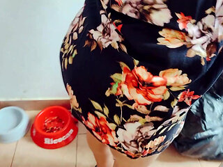 The perverted nun chapter 1 the reencounter