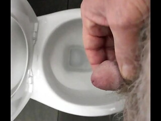 Rustyas1 - Masturbating In Another Public Toilet