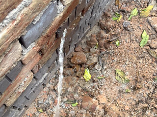Desi Indian Young boiii Peeing in out Side.