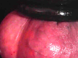 You Like to Try Electro