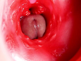 This beautiful pussy is pulsating and squeezing my cock! Camera inside the hole!