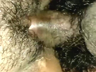 Husband Wife Video Full Sex Videos