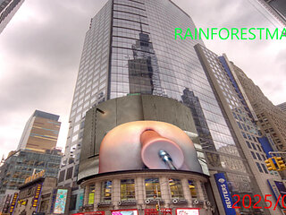 Rainforest-Man 07-23-2025 Huge Dildo on Sex Machine on the Virtual Big Screen