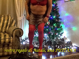 Gio Calda the cow travesta