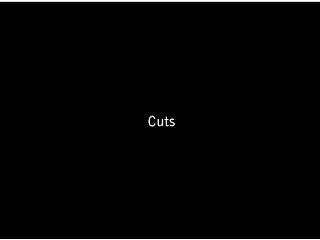 Cuts - Lucy Li