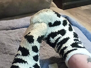 Quit stealing my socks jack