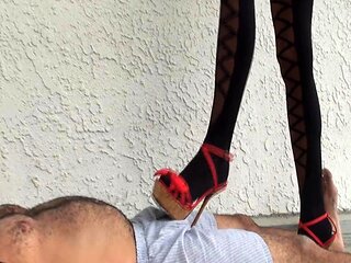 Streaming big cock close ups