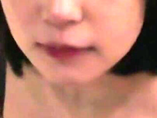 Annual Amateur Harvest Footage: Once-a-year Night of Exciting Encounters