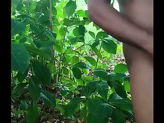 PUTARIA NA FLORESTA
