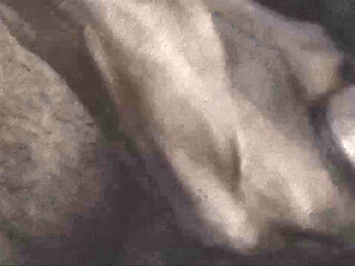 When the wife did not allow him to fuck, the husband masturbated.