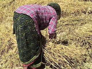 The sister-in-law got romantic in the field and started fingering her stuff