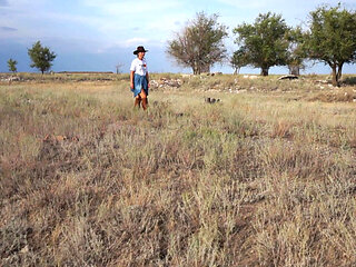 Abandoned Ranch