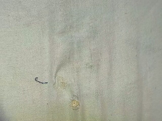 Fodendo meu cuzinho