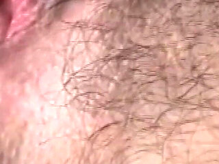 The Hairy Pussy Licked