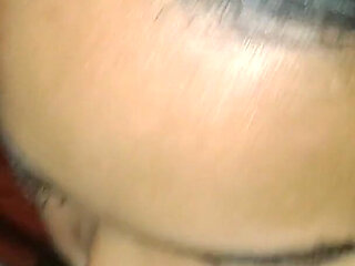 The Best Four-legged Bet