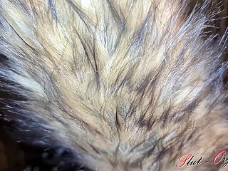 Slut-Orgasma Celeste the canine slut loves the equine cock