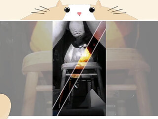 A Fun Pumpkin Fucking Medley!