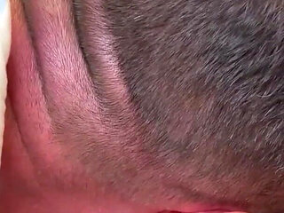 Sneaky Peak After College Opening