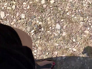 I'm Only Going for a Walk Today for One Reason