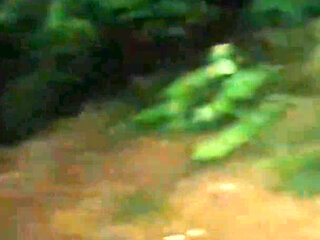 On My Kness Outdoor Risky Blowjob Gagging on BBC