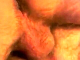 Bareback Fun: Cum, Lick, Repeat