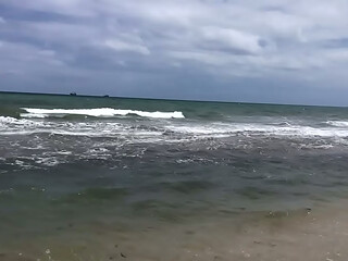 AMAZING OCEAN