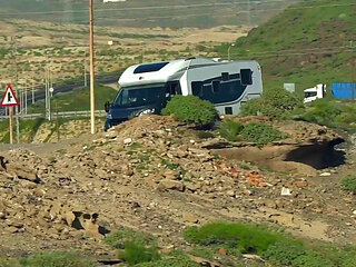 A Group of French Parthouzs in Nature