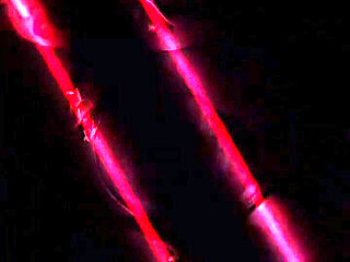 I Dont Care About the Other People in the Office