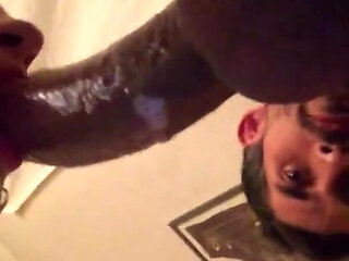 Hd Stoyca teen go wild