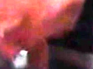 Grandpas Suck Off - Amateur Daddies