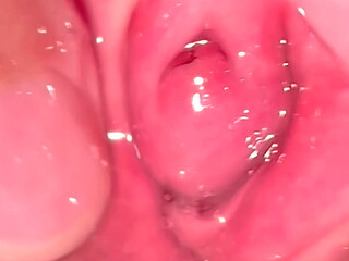 Amateur Pink Pussy: 263 days after losing her virginity.