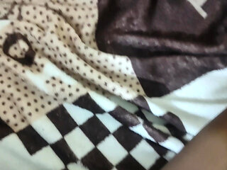 Free New Indian Porn Video