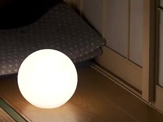 365-wguuhy-ouhsgy-poo-sfs