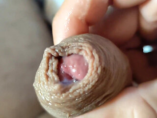 Boy Explores the Super Pre Cum of the Big Cock.