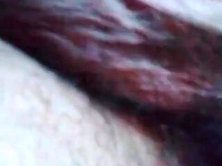 Anyone Want to Suck My Cock Mate
