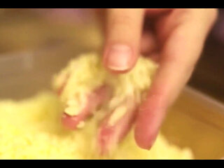 Real Homemade Porn Video with Story