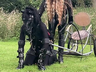4-Day Ponyplay Training Compilation