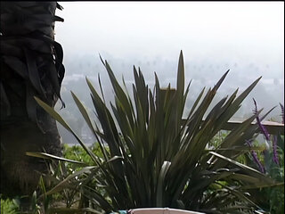 Tommi Rose: Hot and Eager to Be Banged Hard Outdoors