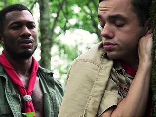 Let's do it like they do on the Discovery Channel