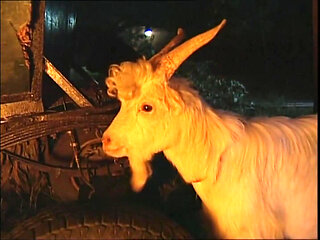 Hot Vintage Slut with Big Tits and Tight Pussy Ass Fucked and Cumshot in Mouth