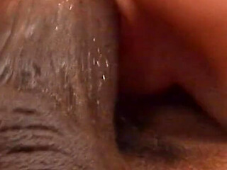 Guy rams his black dick in busty slut's tight pussy