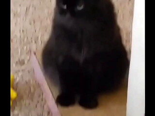 I was really lucky to have a bestfriend like her. A part of me is gone now.Rest in peace my beautiful angel  I love ...
