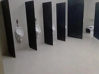 I Almost Got Caught by the Security Guard Exposing Myself in the Public Restroom.
