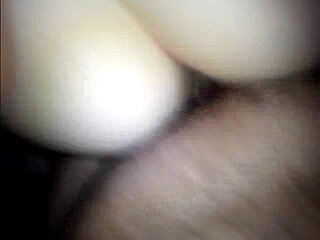 Cumshot Compilation XI (ASS!)