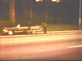 Vulgar Capricious Pig