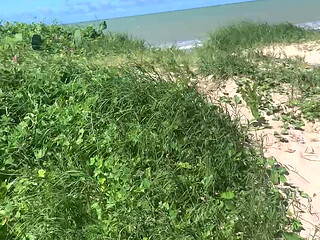 big dick on the beach