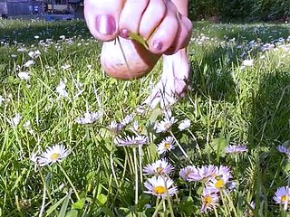 Lezlyan aka la_little_dancer_feet OnlyFans - SOCIAL MEDIA