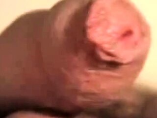 Big Latin Cocks: An Up-Close Adventure