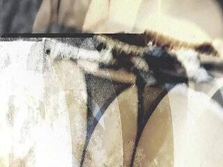 Season Four - Big Booty Colombiana Life