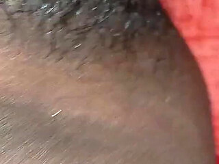 Neighbor's Sister-in-law Was Forgotten at Night and by Sanders.